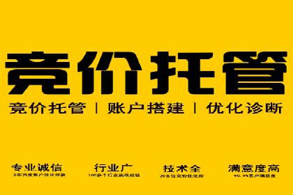 sem运营公司：数字营销的先锋